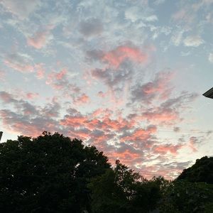 Meet your Posher, Chelsea